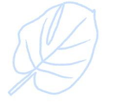 DƬ